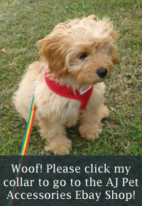 ebay-shop-link